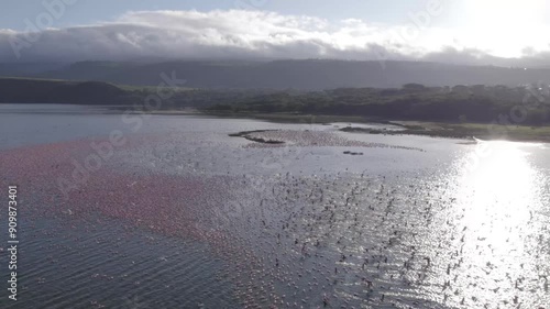 Flamingos flying over Lake Elementaita photo