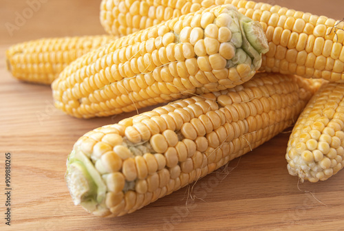 Young corn cobs on a wooden surface photo