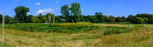 Large panoramic image in the middle of summer of a beautiful piece of nature in Germany, with many colors. Grass, water, trees, with a blue sky with white clouds.