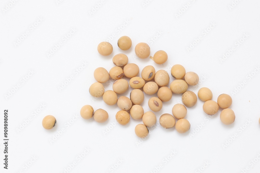 Soybean on white background Soybean on white background