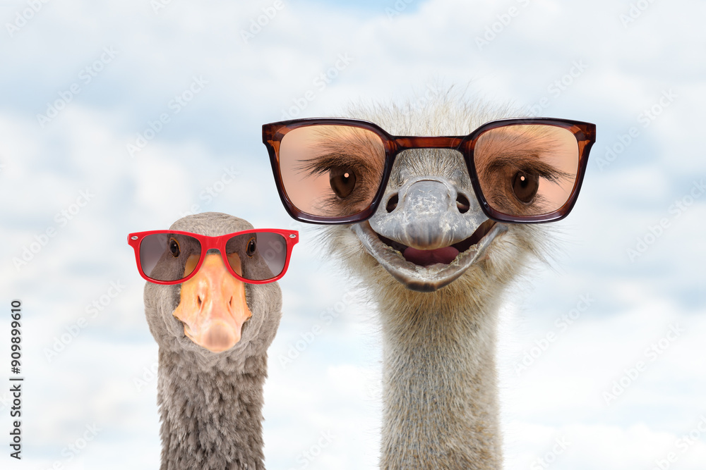 Φωτογραφία Portrait of an funny ostrich and a goose in sunglasses against the sky