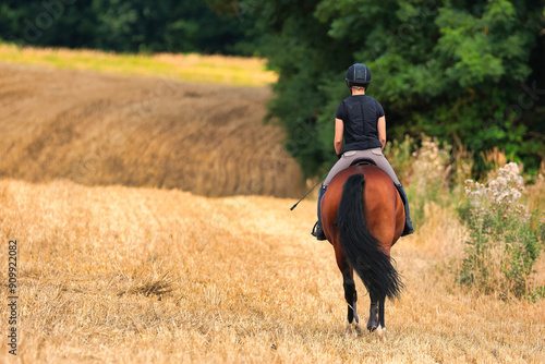 Brown horse with rider in motion on a stubble field photo