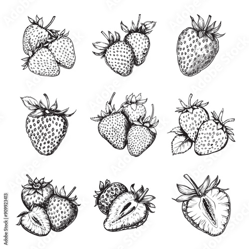 Set of strawberry vector illustrations - hand drawn strawberry - black and white strawberry isolated on white background