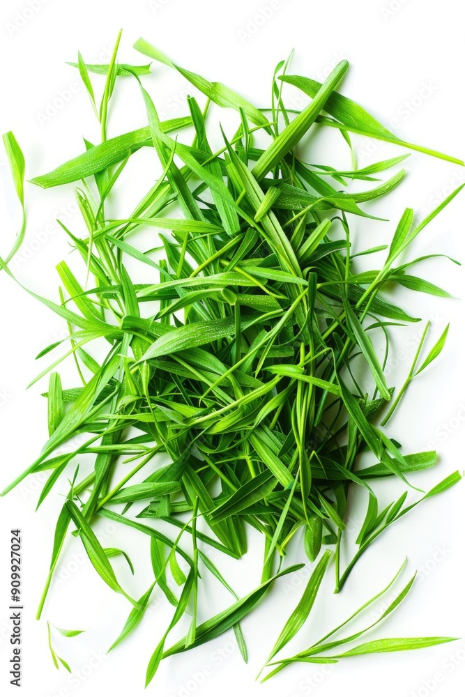 A pile of lush green grass on a white surface A pile of lush green grass on a white surface
