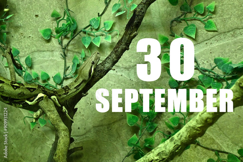 Εκτύπωση καμβά Calendar date on light green background with snake crawling on tree branch