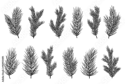 Hand draw fir tree and pine branches silhouettes collection