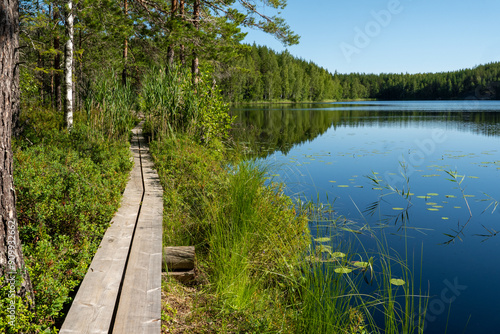 beautiful forest lake scenery with duckboards. hiking concept.