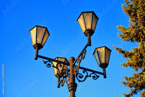 Beautiful lamppost. a street lamp illuminates the trees in the park, a classic form. material metal, glass.blue sky background.close-up.for the designer.
 photo