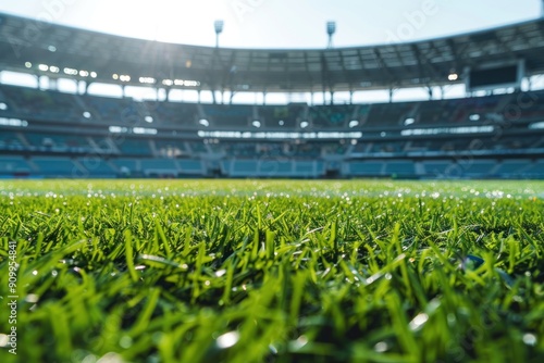 Close-up of green grass on a football field during a match on a clear day.