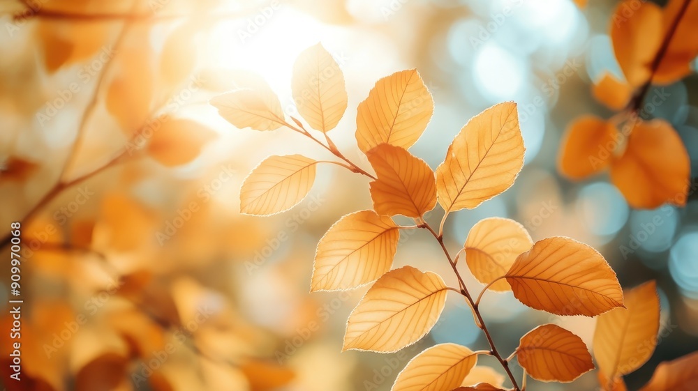 Golden autumn leaves illuminated by sunlight Nature's fall beauty captured Golden autumn leaves illuminated by sunlight Nature's fall beauty captured
