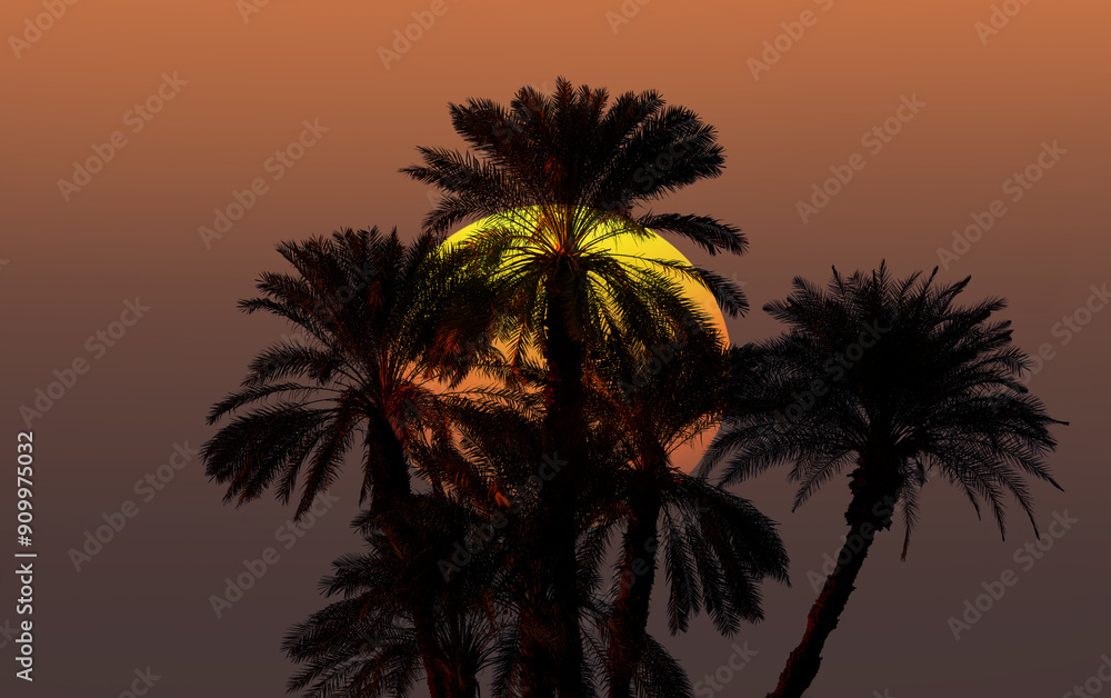 Fototapeta premium Beautiful snset on a beach with silhouette of palm trees