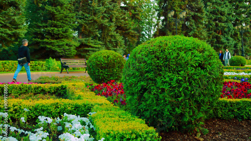 Flowers in the park.Flowerbeds are beautifully decorated with various flowers: roses, thuja, orchids, lilies, geocinths, daisies, Tulips.in flower garden.Colorful blooming fields and flower alleys.
 photo