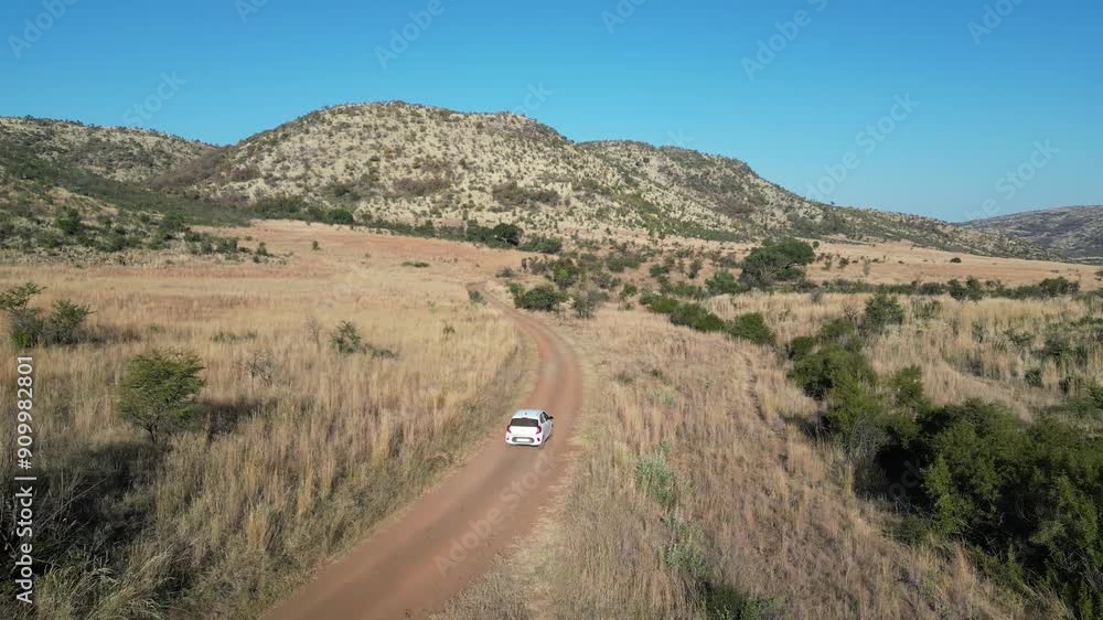 Wild Road At Pilanesberg National Park In North West South Africa. African Animals Landscape. Pilanesberg National Park. Pilanesberg National Park At North West South Africa. Big Five Animals. Wild Road At Pilanesberg National Park In North West South Africa. African Animals Landscape. Pilanesberg National Park. Pilanesberg National Park At North West South Africa. Big Five Animals.