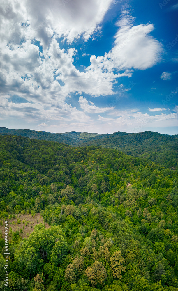 Aerial view of Strandzha mountains in Bulgaria
Aerial view of Strandzha mountains in Bulgaria