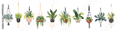 Macrame plant in pot set. Garden house indoor hanger flowerpots. Hanging macrame home plants for interior decor. Vector flat hand drawn illustration