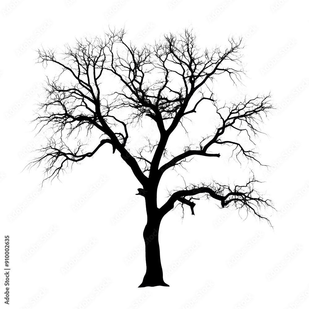 Silhouette of a Leafless Tree with Intricate Branches Against a Black Background Silhouette of a Leafless Tree with Intricate Branches Against a Black Background