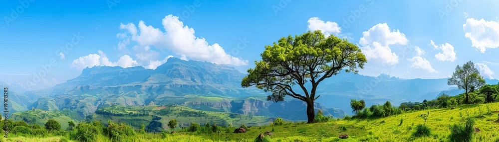 Obraz premium Scenic vistas of Ethiopian highlands, Ethiopian highland scenic vistas, breathtaking and dramatic mountain landscapes