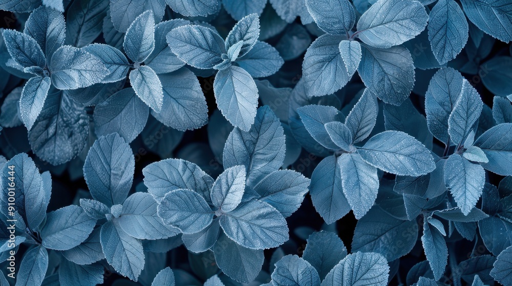 Close-up of blue-toned leaves creating a visually stunning and calming natural pattern, perfect for backgrounds or nature-themed projects. Close-up of blue-toned leaves creating a visually stunning and calming natural pattern, perfect for backgrounds or nature-themed projects.