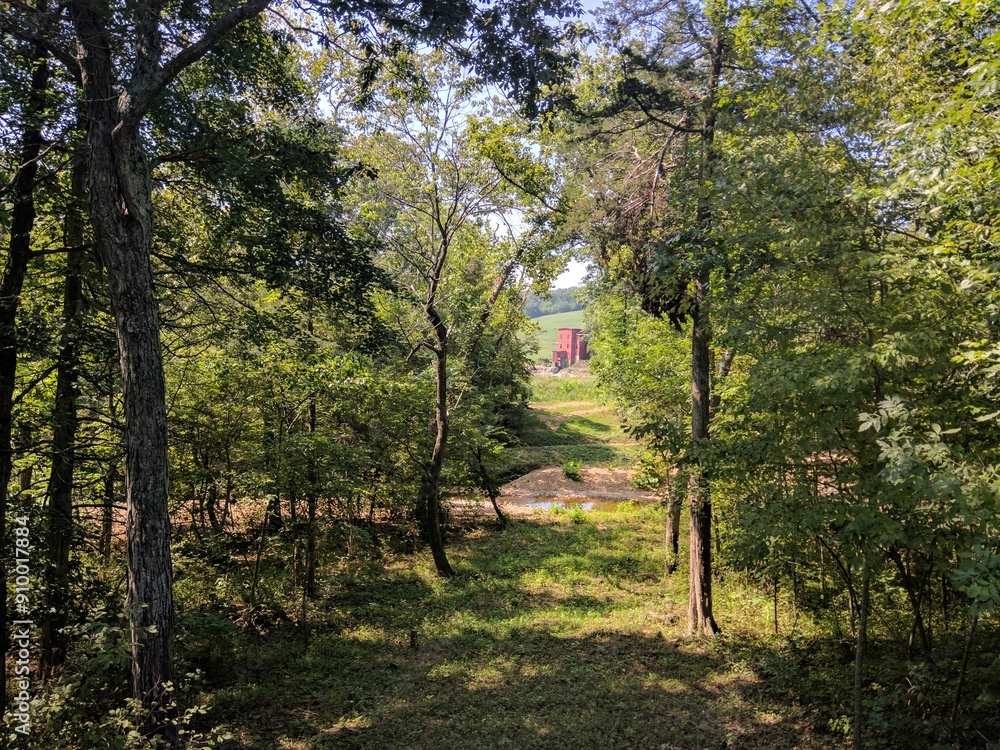 Dillard mill seen through the trees Dillard mill seen through the trees