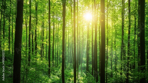 Sun-Kissed Sanctuary  A verdant forest bathed in the golden glow of dawn  sunlight filtering through a canopy of towering trees. 