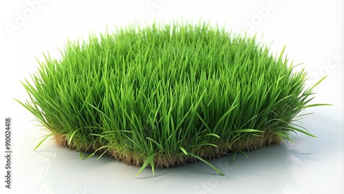 Realistic green grass isolated on background. rendering, grass, green, realistic, isolated,background,rendering, nature