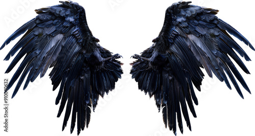 Dark Raven Wings photo