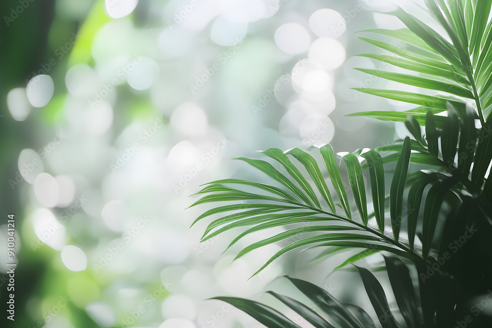 Natural Green Plant Leaf in Garden with Bokeh Background Natural Green Plant Leaf in Garden with Bokeh Background