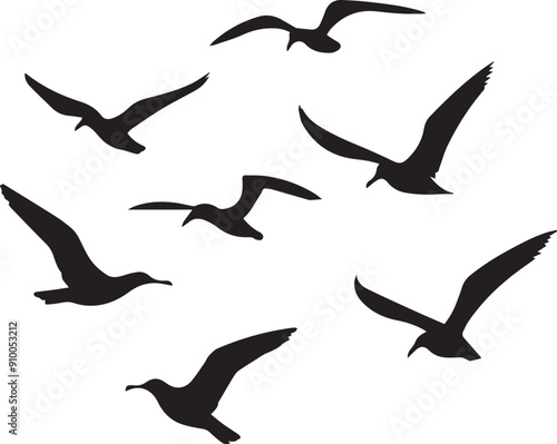 Silhouette of seagulls in flight vector , silhouettes of  flying birds icon