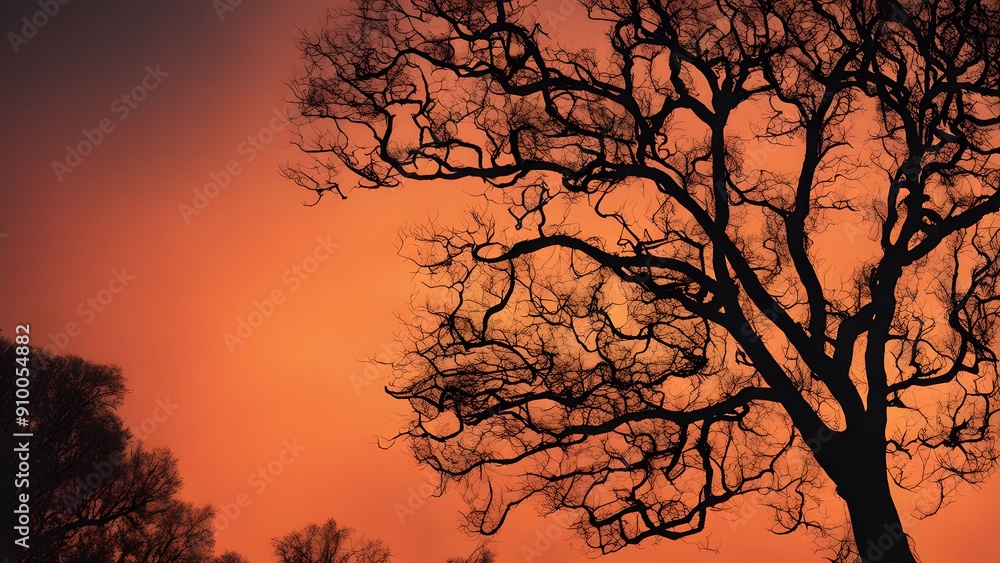 silhouette of tree in sunset silhouette of tree in sunset