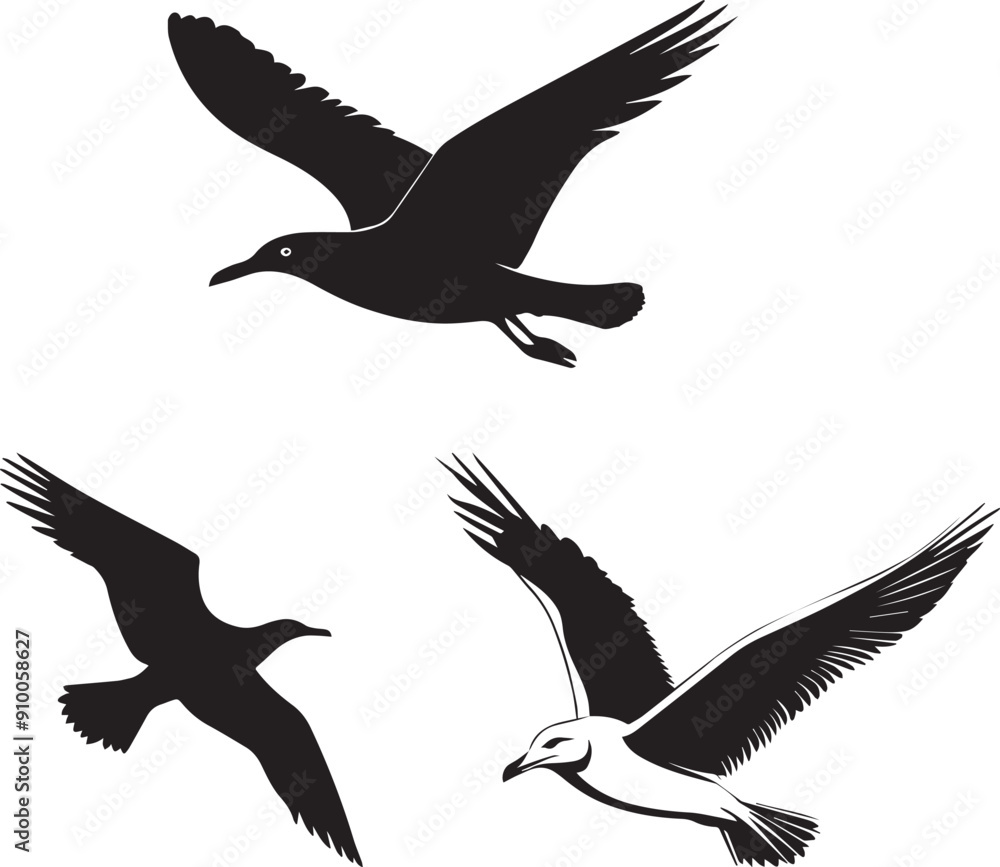 Silhouette of seagulls in flight vector , silhouettes of flying birds icon Silhouette of seagulls in flight vector , silhouettes of flying birds icon