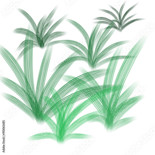 Grass 