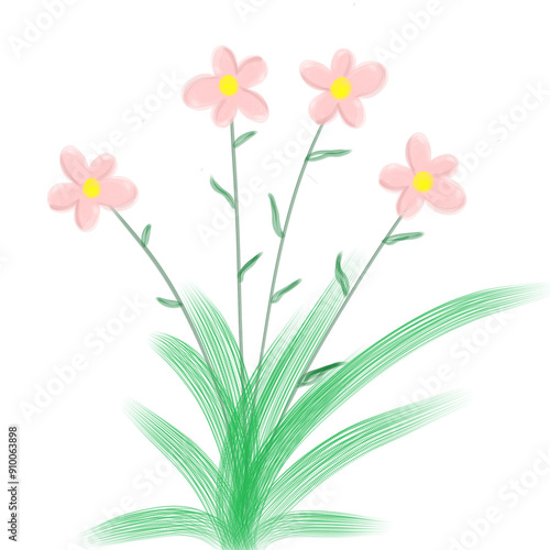 flower, pink, plant, nature, isolated, white, blossom, spring, green, floral, petal, leaf, flowers, bloom, beauty, beautiful, purple, bouquet, red, flora, summer, stem, color, bud, lily