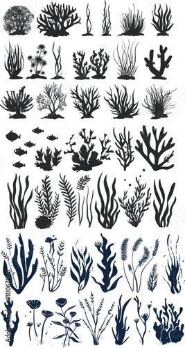 Set of sea grass and corals silhouettes. Seaweed monochrome. Underwater plants in aquariums. Aquarium alga set, ocean water plants. Isolated elements. Modern collection.