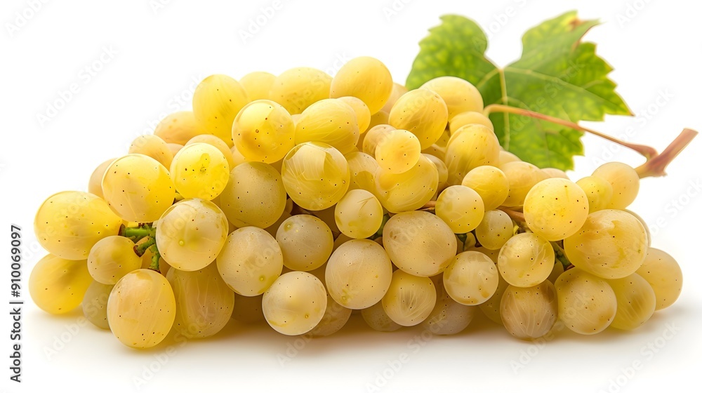 A Freshly Picked Bunch of Green and Yellow Grapes on a White Background A Freshly Picked Bunch of Green and Yellow Grapes on a White Background