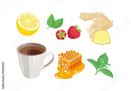 Tea in cup with lemon, ginger, raspberry, honey and mint. Vector cartoon flat illustration.