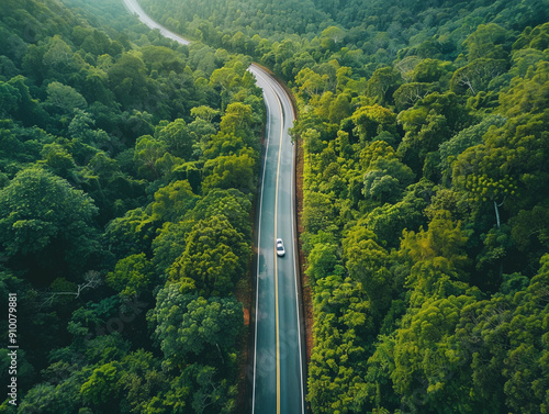 Serene Aerial View of a Car Driving Along a Winding Road in Lush Green Forest photo