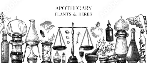 Antique apothecary banner. Medicinal herbs background. Hand-drawn vector illustrations. Alchemy glassware sketches on chalkboard. NOT AI generated
