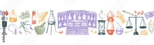 Herbal medicine ingredients seamless border. Antique apothecary background. Hand-drawn vector illustrations. Alchemy glassware sketches. NOT AI generated