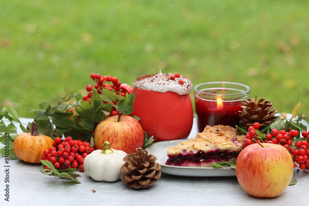 Homemade pie with berries and apples on a background of green grass. Thanksgiving dessert recipe. Autumn picnic in a garden. Homemade pie with berries and apples on a background of green grass. Thanksgiving dessert recipe. Autumn picnic in a garden.