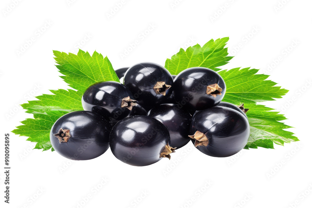 Fresh black currants with green leaves on white background. Fresh black currants with green leaves on white background.