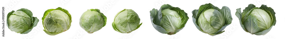 Fototapeta premium Fresh green cabbage heads in a row showcasing different growth stages. Perfect for agricultural, organic produce, and healthy lifestyle concepts.