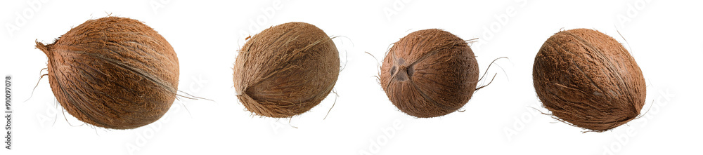 Four fresh coconuts lined up in a row on a white background. High-quality image ideal for natural product presentations and tropical themes. Four fresh coconuts lined up in a row on a white background. High-quality image ideal for natural product presentations and tropical themes.