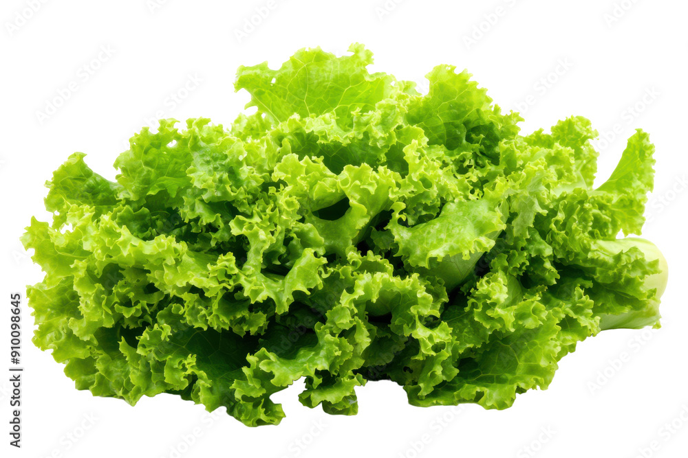 Fresh green lettuce leaves isolated on white. PNG image Fresh green lettuce leaves isolated on white. PNG image