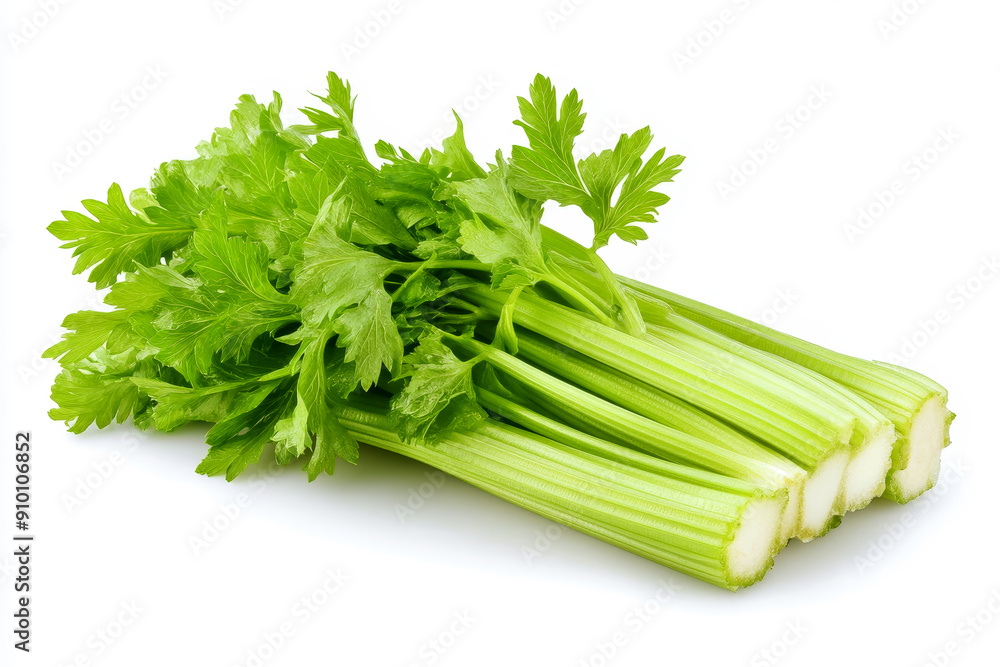celery isolated on white background celery isolated on white background