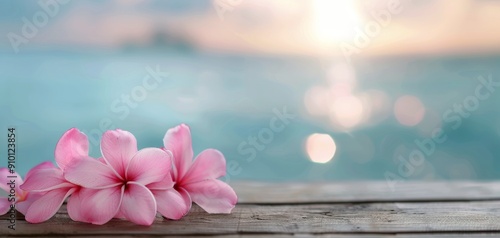 Pink Flowers on a Wooden Surface With Ocean in Background at Sunrise
