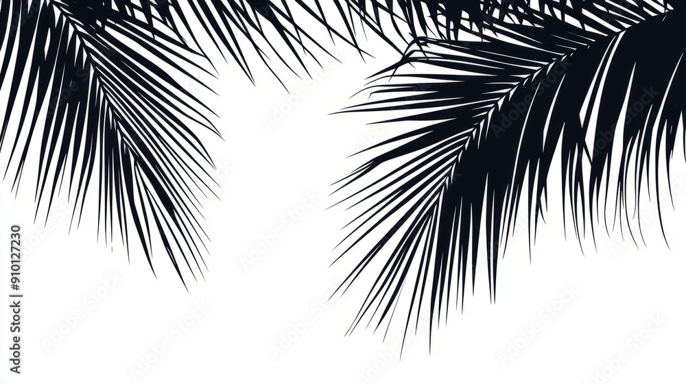 Obraz premium Tropical Palm Leaf Silhouette - Summer Design Element 🌴