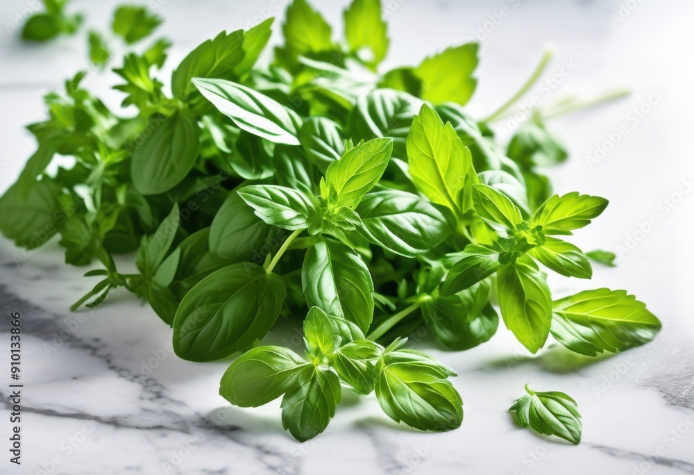 vibrant arrangement fresh green herbs displayed smooth marble surface culinary inspiration natural aesthetics, parsley, basil, cilantro, mint, rosemary vibrant arrangement fresh green herbs displayed smooth marble surface culinary inspiration natural aesthetics, parsley, basil, cilantro, mint, rosemary