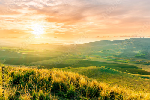 Fotografie beautiful landscape in a yellow golden field in autumn or summer evening with ni