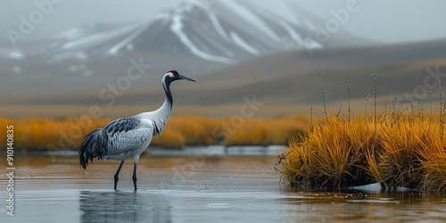 Stunning Wetland Landscape with Snow-Capped Mountains and Black-Necked Crane in a Serene Environment, Perfect for Nature-Inspired Design Backgrounds. Capture the Beauty of Wildlife and Natural Scenery photo