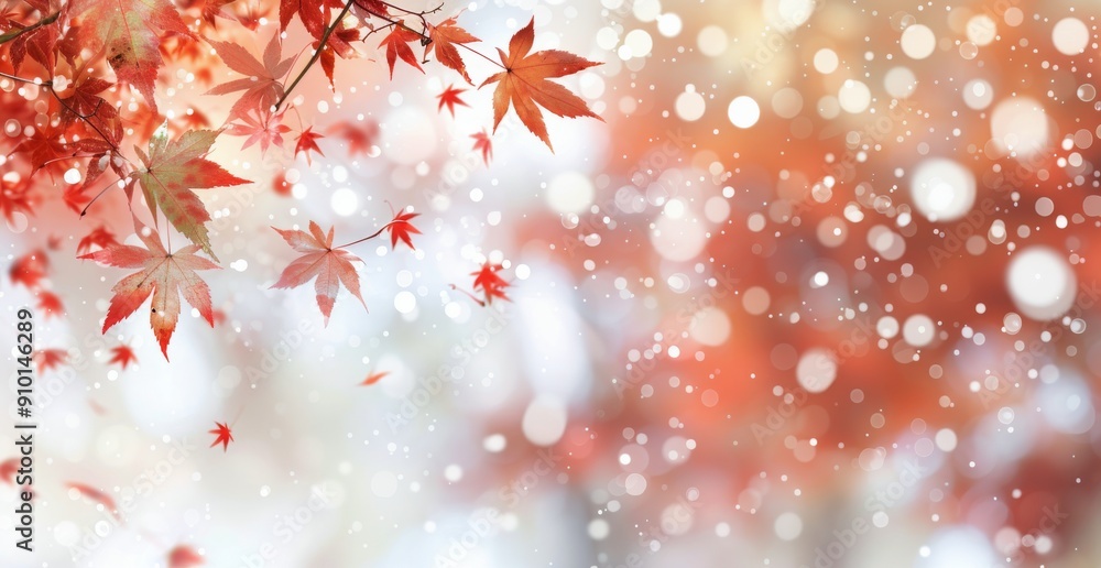 Autumn Maple Leaves Against a Soft, Blurred Background With Bokeh Effect Autumn Maple Leaves Against a Soft, Blurred Background With Bokeh Effect